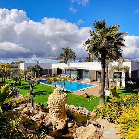 Palm Algarve *