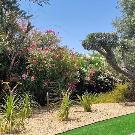 Palm Algarve Bed and Breakfast *