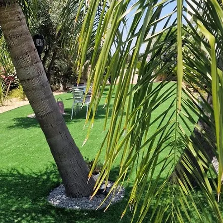 Palm Algarve Bed and breakfast *